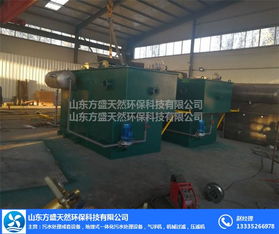 山東方盛天然環保公司 溶氣氣浮機制造領域的創新引領者